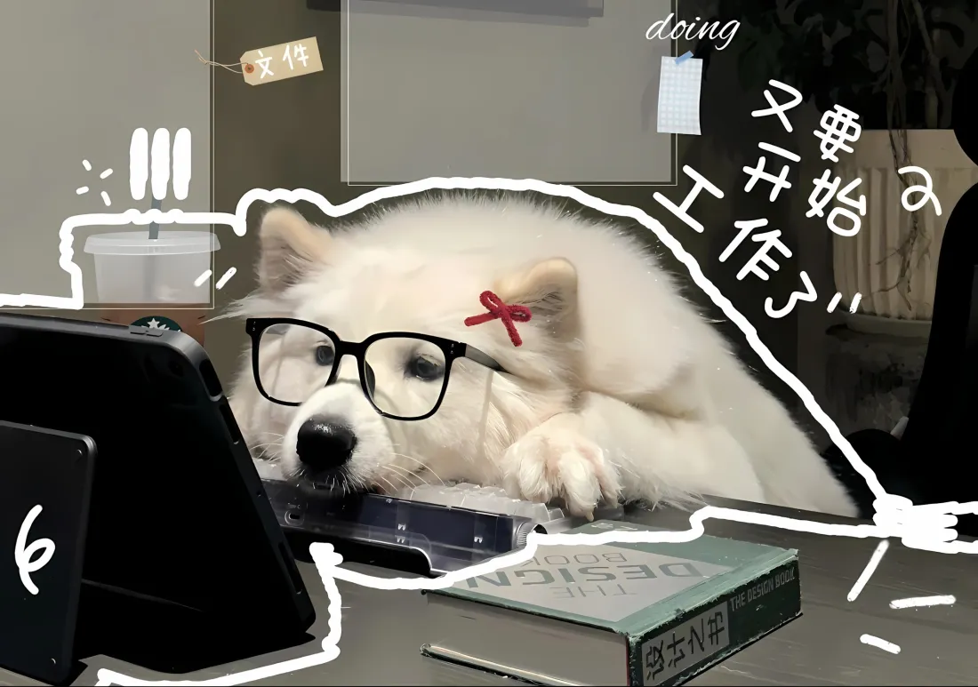 ctfshow pwn046 由64位ret2libc引发对rdx寄存器的思考